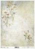 Seria Flower Post - White, Kwiatowa Poczta w bieli, rumianek*Flower Post in white, camomile, collage, inscriptions